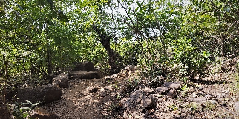 Kalavantin Durg Trek route